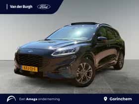 Ford Kuga (2024)