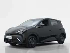 BYD Dolphin (2026)