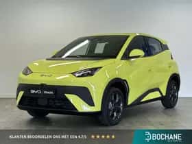 BYD Dolphin (2026)