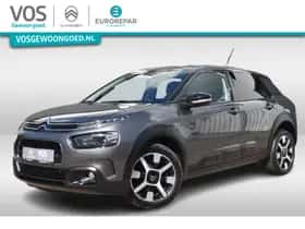 Citroën C4 Cactus (2019)