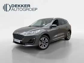 Ford Kuga (2022)