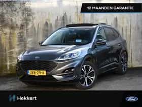 Ford Kuga (2022)