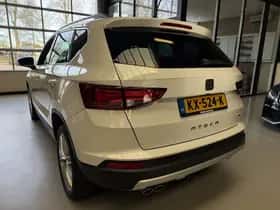 SEAT Exterior Colour (2017)