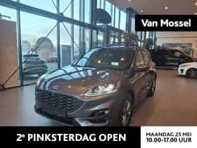 Ford Kuga (2021)