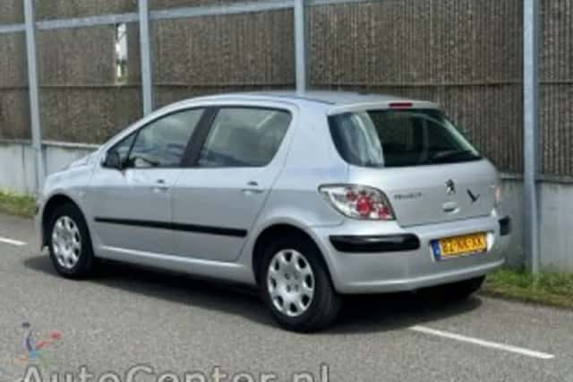 Peugeot 307 (2003) thumbnail 4
