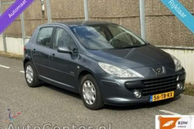 Peugeot 307 (2006) thumbnail 2