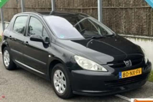 Peugeot 307 (2004) thumbnail 1