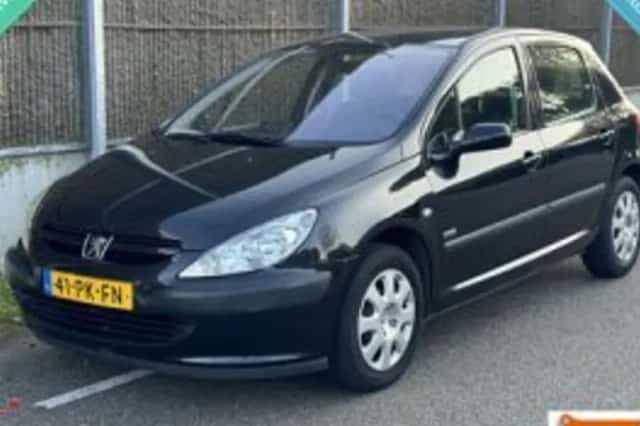 Peugeot 307 (2004) thumbnail 1