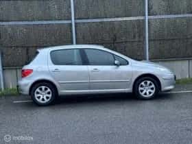 Peugeot 307 (2007) thumbnail 6