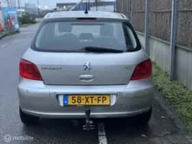 Peugeot 307 (2007) thumbnail 8