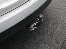 Renault Scénic (2019) thumbnail 39