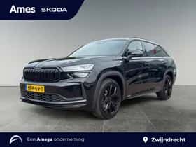 Škoda Kodiaq (2025) thumbnail 1