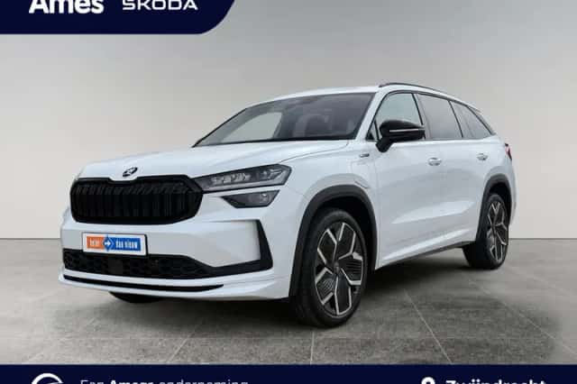 Škoda Kodiaq (2025) thumbnail 1