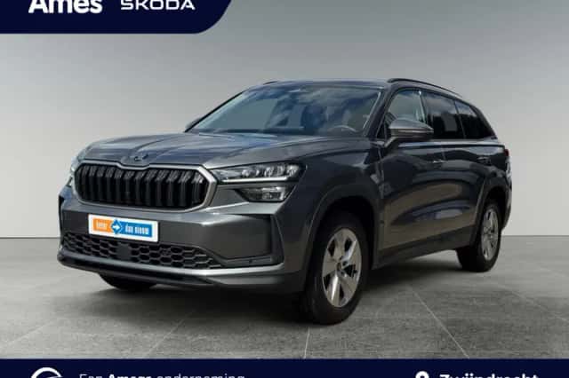 Škoda Kodiaq (2025) thumbnail 1