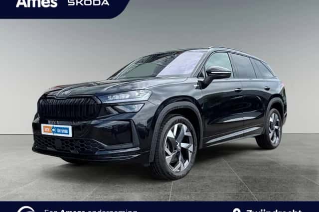 Škoda Kodiaq (2025) thumbnail 1