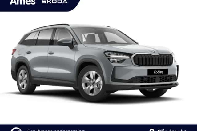 Škoda Kodiaq (2025) thumbnail 1