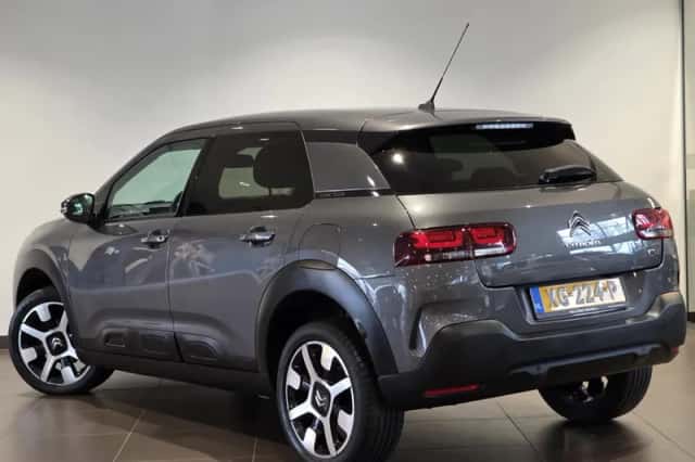 Citroën C4 Cactus (2019) thumbnail 6