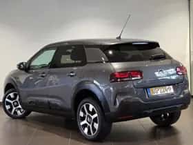 Citroën C4 Cactus (2019) thumbnail 6