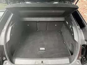 Peugeot 3008 (2025) thumbnail 14