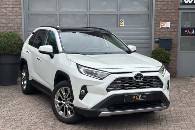 Toyota RAV4 (2019) thumbnail 1