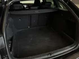 Škoda Octavia (2022) thumbnail 20