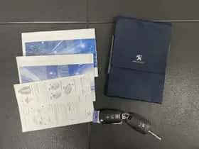 Peugeot 3008 (2017) thumbnail 127
