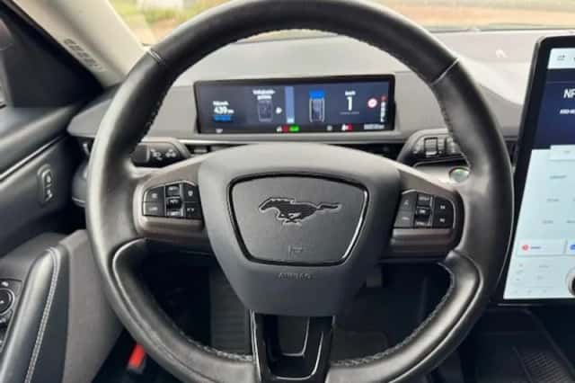 Ford Mustang Mach-E (2021) thumbnail 11