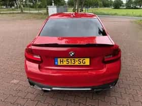 BMW 2-Serie (2014) thumbnail 19