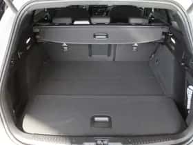 Ford Focus (2024) thumbnail 35