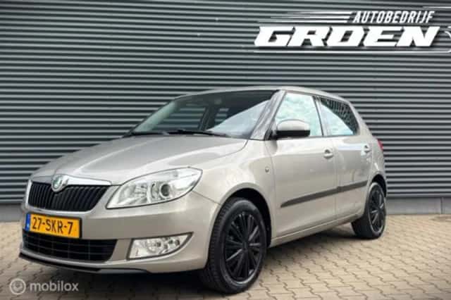 Škoda Fabia (2011) thumbnail 1