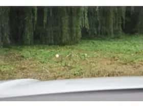 Volkswagen Touareg thumbnail 38