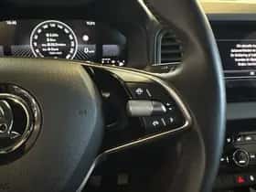 Škoda Karoq thumbnail 21