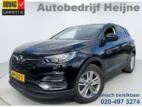 Opel Grandland X (2019) thumbnail 1