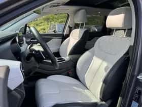 Hyundai Santa Fe (2021) thumbnail 14