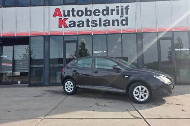 SEAT Ibiza (2008) thumbnail 2