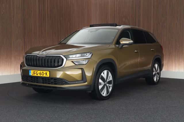 Škoda Kodiaq (2024) thumbnail 1