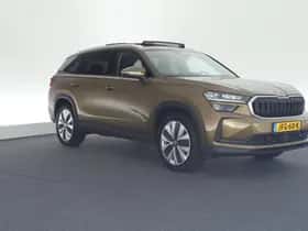 Škoda Kodiaq (2024) thumbnail 13