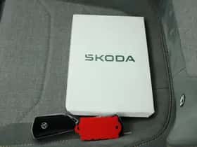 Škoda Kodiaq (2024) thumbnail 39
