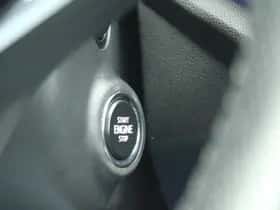 Škoda Octavia (2021) thumbnail 20
