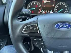 Ford EcoSport (2018) thumbnail 13