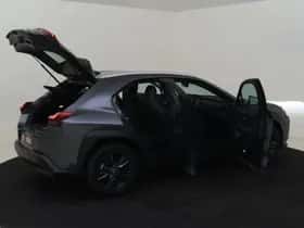 Lexus UX (2024) thumbnail 13