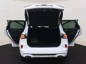 Ford Kuga (2024) thumbnail 12