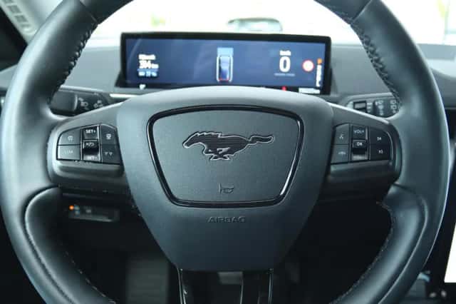 Ford Mustang (2021) thumbnail 18