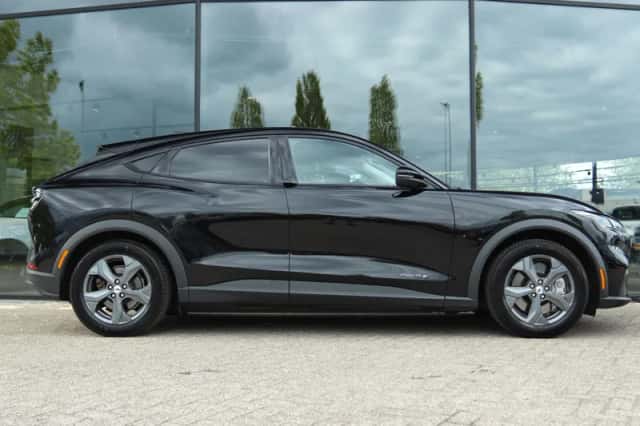 Ford Mustang (2021) thumbnail 8