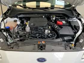 Ford Focus (2019) thumbnail 10