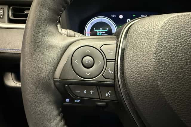 Toyota RAV4 (2024) thumbnail 19