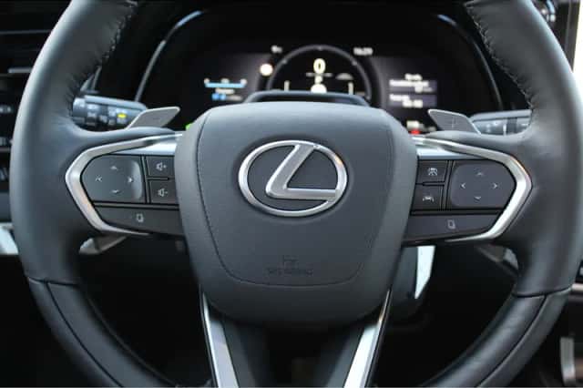 Lexus RX (2026) thumbnail 19