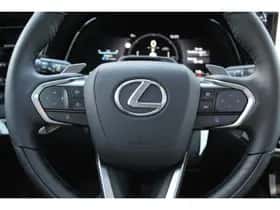 Lexus RX (2026) thumbnail 19