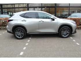 Lexus NX thumbnail 13