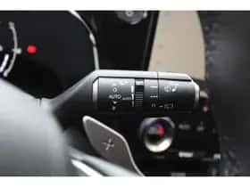 Lexus NX thumbnail 28